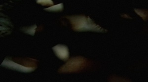 NO MORE LONELY NIGHTS